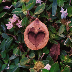 HEARTS GROW ON TREES
