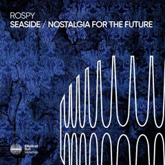 Rospy - Nostalgia For The Furure