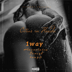 Citrus in Florida- 1way