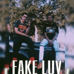 FAKE LUV ft. PRINCE RESE