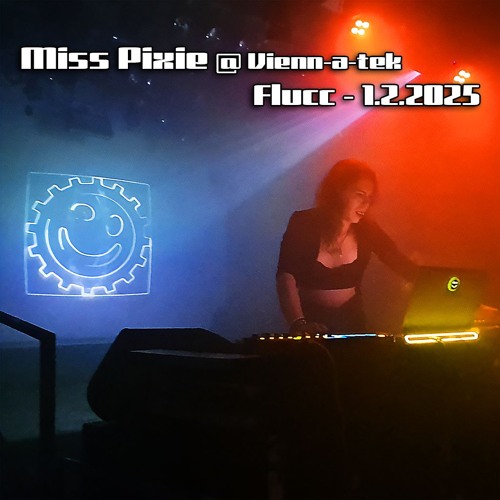 Live @ Vienn-a-tek 2025_02 (Flucc, Vienna)