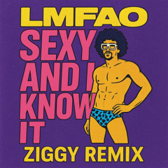 LMFAO - Sexy And I Know It (ZIGGY Remix)