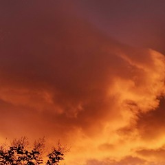 I Wish You Love (shoegaze Version)