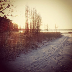 safe n sound(darlyybeen)