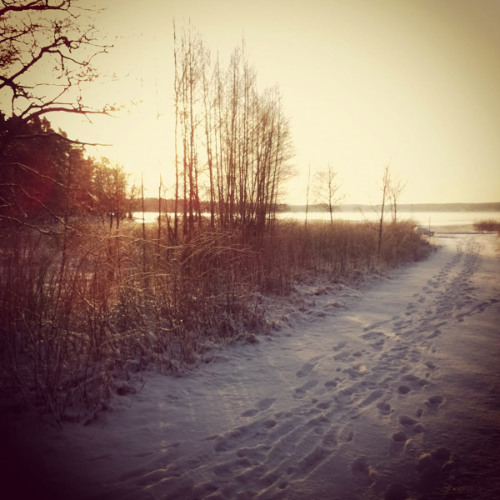 safe n sound(darlyybeen)