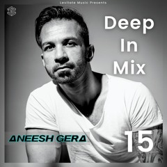 Deep In Mix 15 with Aneesh Gera (Birthday Mix)