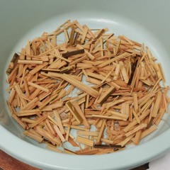 Podcast stage d'immersion