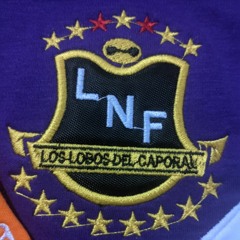 CANDELARIA HYO 2023 LNF