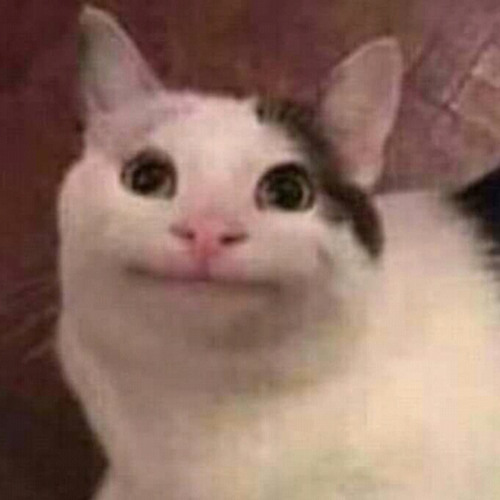 fresh go 3 puff x walter