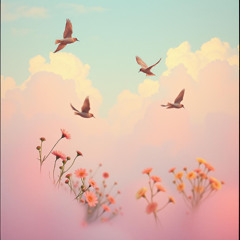 All my dreams