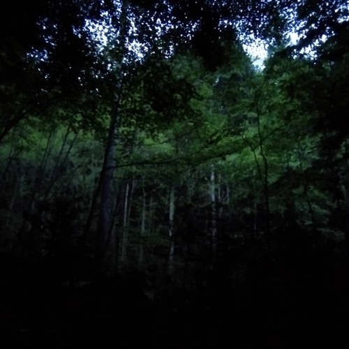 Blue Forest -(VSL Competition 3 30sec)