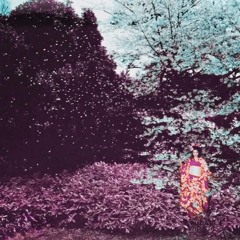 berlioz - la danse(remix02)