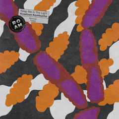 PREMIERE: Keep Me In The Light - Body 4 U [Roam Recordings]