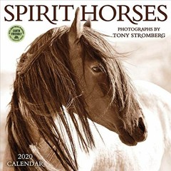 ACCESS KINDLE 🖊️ Spirit Horses 2020 Wall Calendar by  Amber Lotus Publishing &  Tony