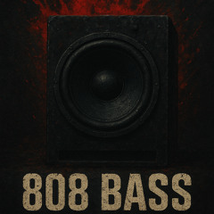 BLOOD808 (prod.By Tripp Acid)