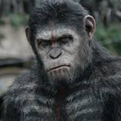 Moon Gang (AMC Apes OFFICIAL Anthem)