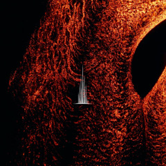 NE003 - Doriann, Dino Martin - Rise Up (Extended Mix)