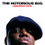 Artwork for Get Money (feat. Junior M.A.F.I.A.) [2007 Remaster]