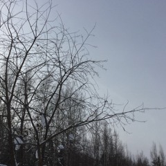 6 March - High Five - Three Times!