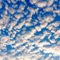 Stay High (feat. BreadmanBart and Ed Ali)