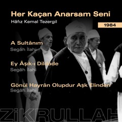 Her Kaçan Anarsam Seni - Hâfız Kemal Tezergil (Muzaffer Ozak - Zikrullah 1984)