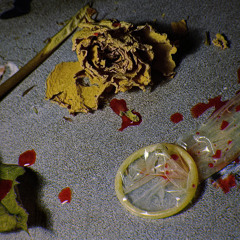 OS2 - Les champs de tiges (prod. Lariane)