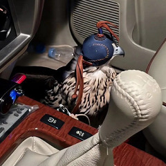 ‎⁨ميحد حمد - لا تمشيني على شاطي العذاب