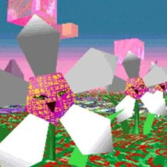 ENTROPIX