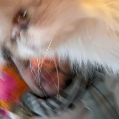 Mixantiq-87 ... 2003