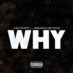 Why (Feat. Kolyon & Apg Tech)