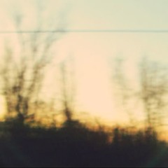 despite it all