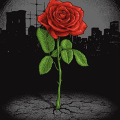 RudeBoyDame - What we gon do baby