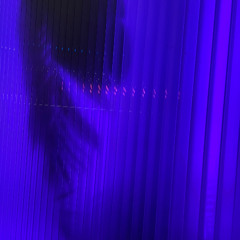 Mindfulness (Thich Nhat Hanh Vocal Mix)