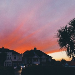 bless the telephone (cover)