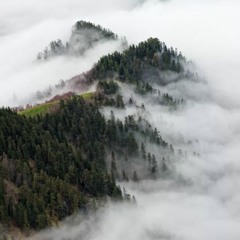 Blurrdvzn tiktok song ✨ FREE DOWNLOAD