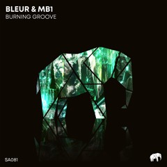 Bleur & MB1 - Individual Life (Original Mix)