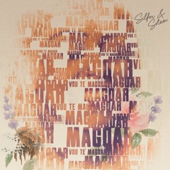 Vou Te Magoar (feat. Sotam)