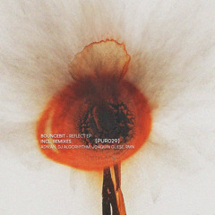 [PUR029] BounceBit - Reflect EP Incl. ädn:an, DJ Algorhythm, Joaquín Gliese, rmn Remixes