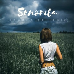 Senorita - Shawn Mendes Ft Camila Cabello (Boudi Aridi Remix)