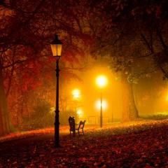 AUTUMN🍂