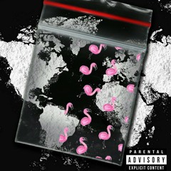 Flamingo Feathers Feat. Express Money (prod_Illah Dutch)