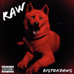 BigTokDawg - Big Dawg