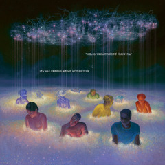 Illusions of Purpose - Stereolithica 687