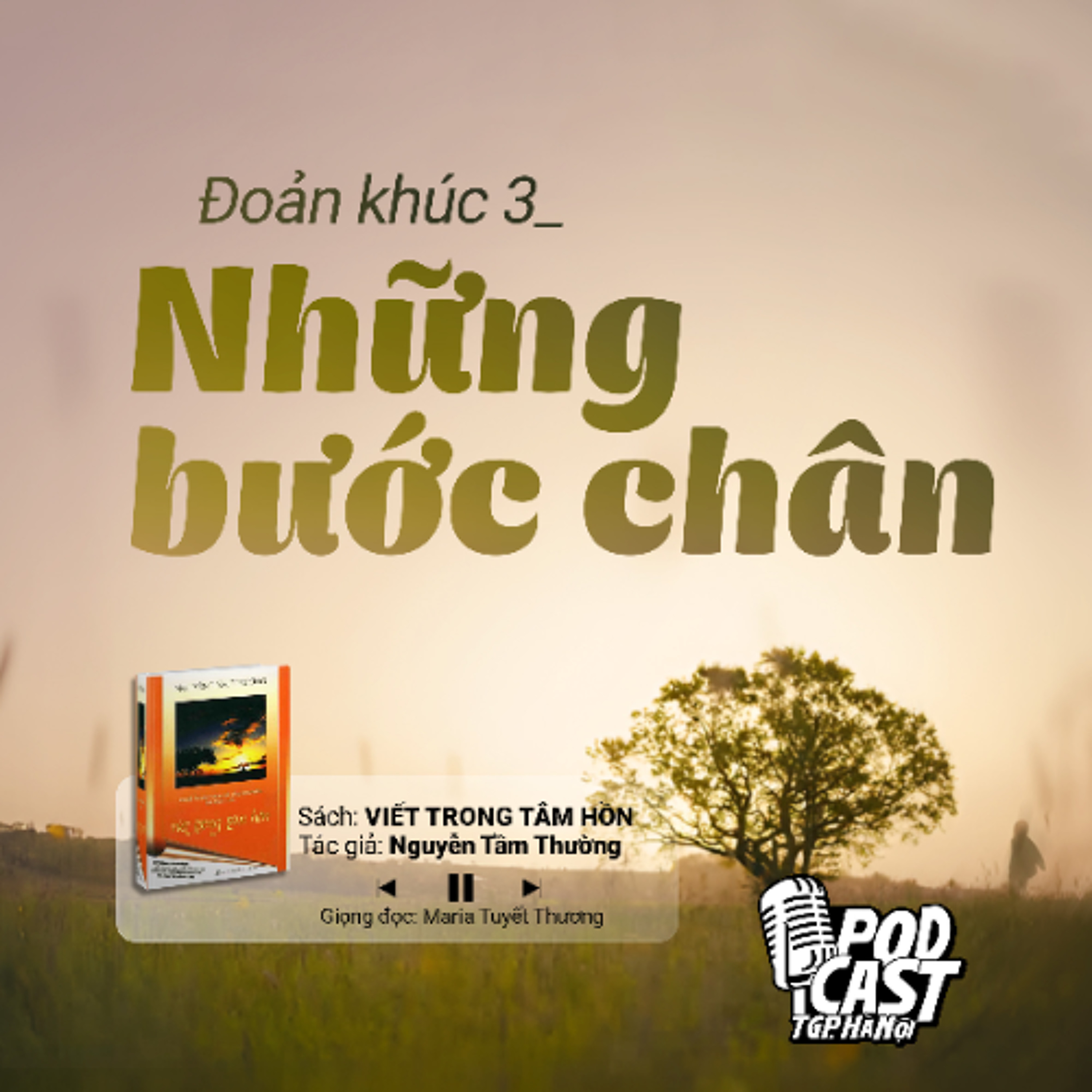 ĐK3: Những bước chân (Tg. Nguyễn Tầm Thường) || Viết trong tâm hồn