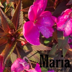 Maria [Prod. Only Vontrez]