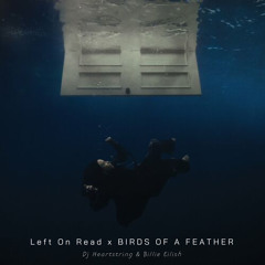 Left On Read x BIRDS OF A FEATHER (DJ Heartstring & Billie Eilish)
