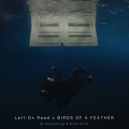 Left On Read x BIRDS OF A FEATHER (DJ Heartstring & Billie Eilish)