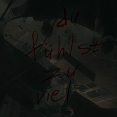 du fühlst zu viel (doch nichts für mich)