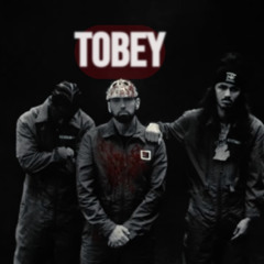 Eminem - Tobey feat Big Sean & Babytron (H473 Remix)