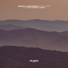 PREMIERE: Arnold T. & Alain Pauwels - Cosmic Spices (Kyotto Remix) [3rd Avenue]
